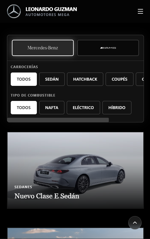 Filtros expandidos en mobile